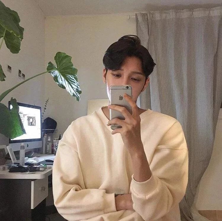 伏若雁乐