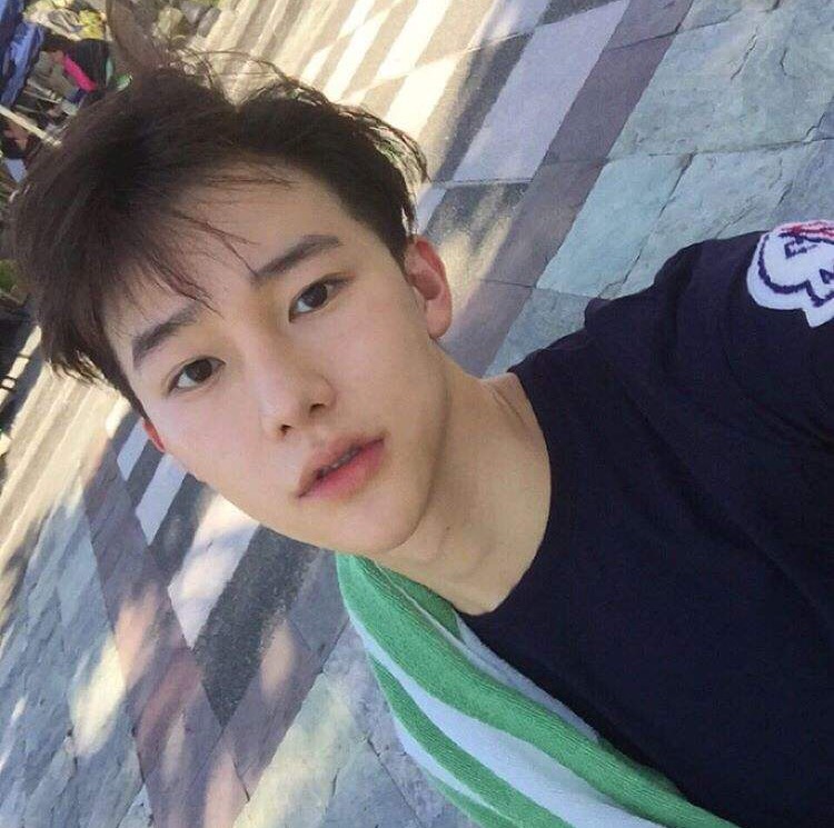 储友思绿