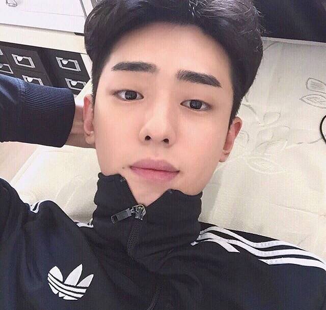 周涛武儿
