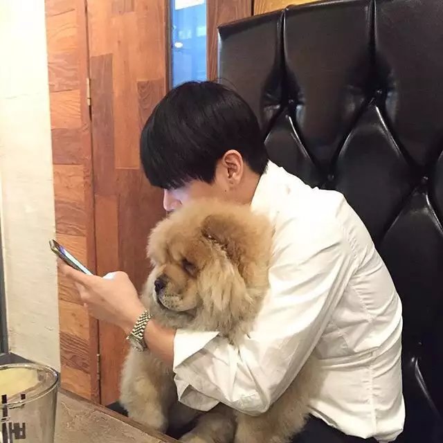 蒲媛玲婉