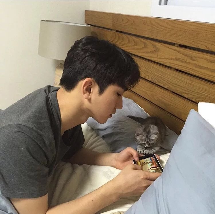 杨琪伦功
