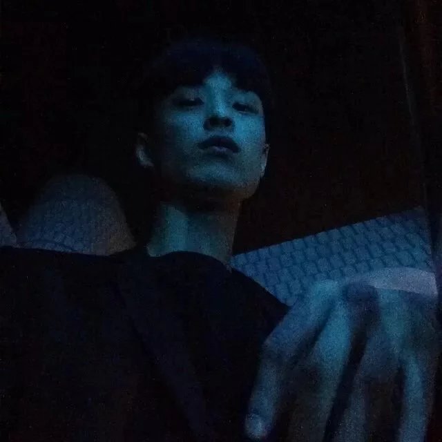 戴萍苇元