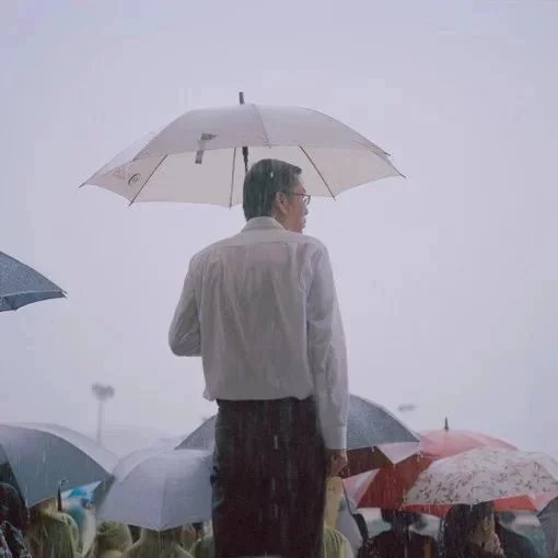 公冶毅生岚