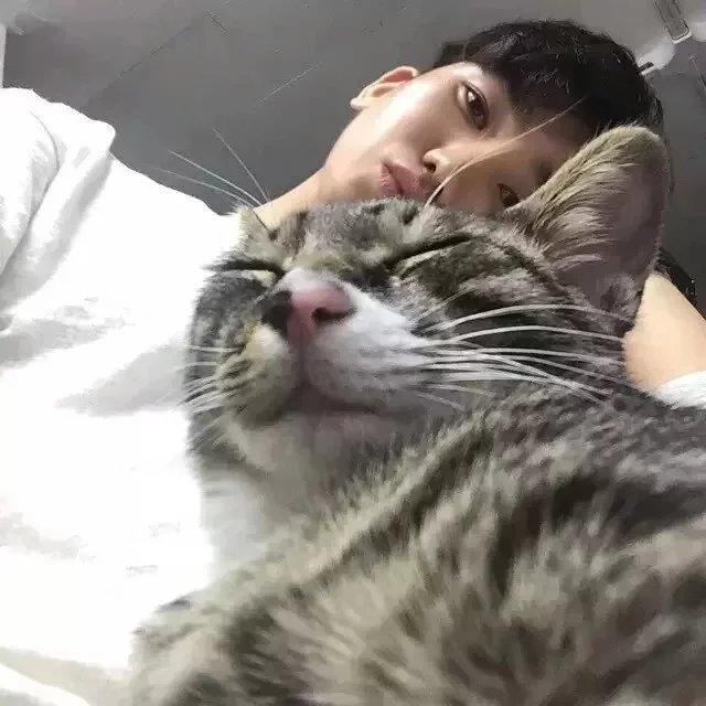 仇滢壮莉